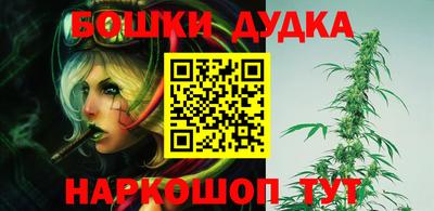 индика Братск