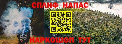 дурь Бердск