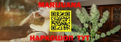 индика Братск