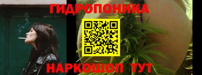 дурь Бердск