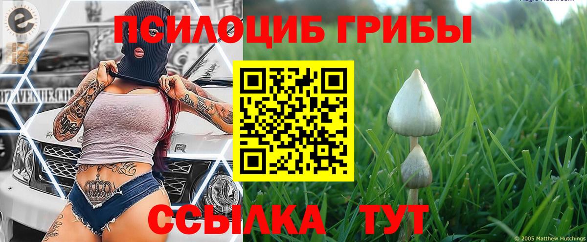 Галлюциногенные грибы Cubensis  Галлюциногенные грибы Cubensis  Вход с VPN  Дмитров 